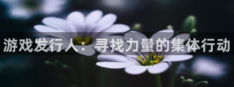 完美电竞官网注册账号：游戏发行人：寻找力量的集体行动
