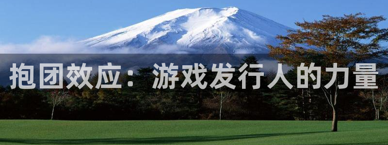 完美电竞官网子教育科技有限公司：抱团效应：游戏发行人的力量