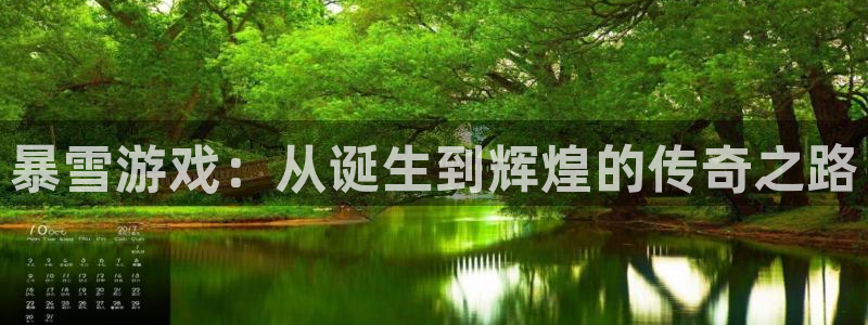 完美电竞登录注册不了怎么回事：暴雪游戏：从诞生到辉煌的传奇之路