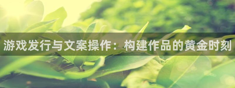 完美电竞官网子财经丛书