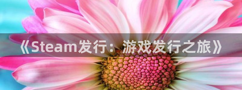 完美电竞客服电话是多少