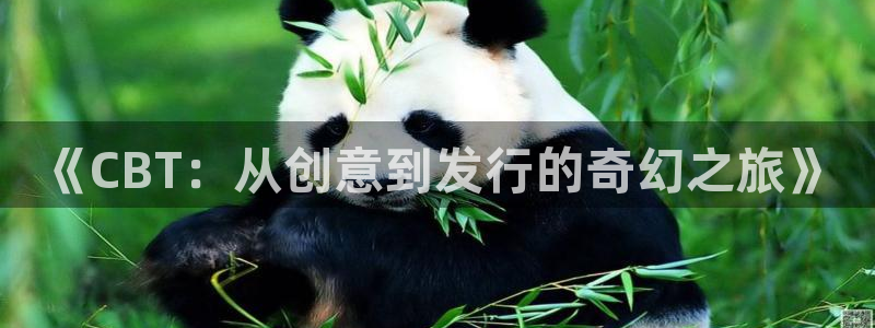 完美电竞官网烟照片：《CBT：从创意到发行的奇幻之旅》