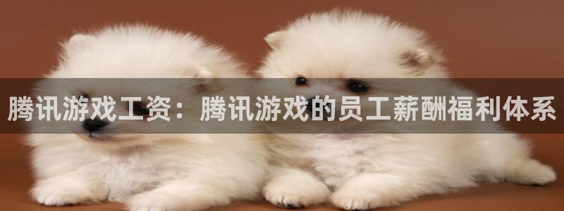 完美电竞官网电子商务有限公司怎么样：腾讯游戏工资：腾讯游戏的员工薪酬福利体系