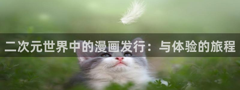 完美电竞注册平台官网下载：二次元世界中的漫画发行：与体验的旅程