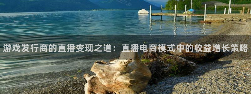 陕西省西安市完美电竞官网子文化创意