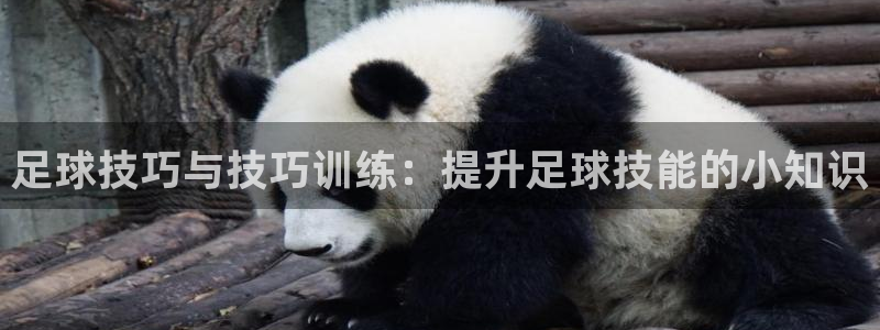 678体育官网：足球技巧与技巧训练：提升足球技能的小知识
