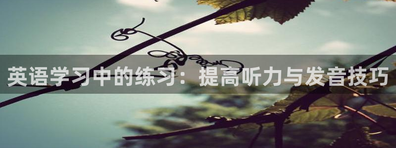 678体育app：英语学习中的练习：提高听力与发音技巧