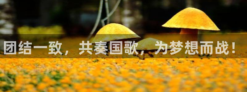 678体育：团结一致，共奏国歌，为梦想而战！