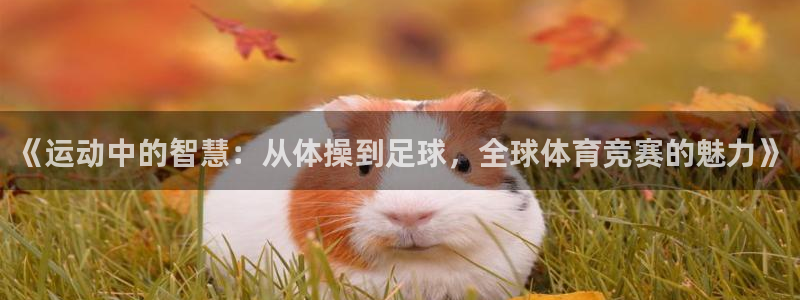 678体育知识：《运动中的智慧：从体操到足球，全球体育竞赛的魅力》