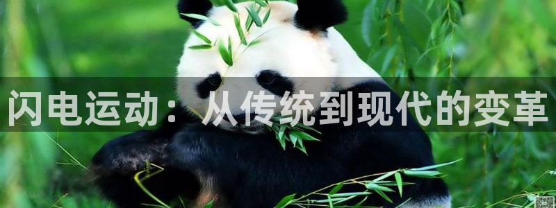 678体育官网下载：闪电运动：从传统到现代的变革