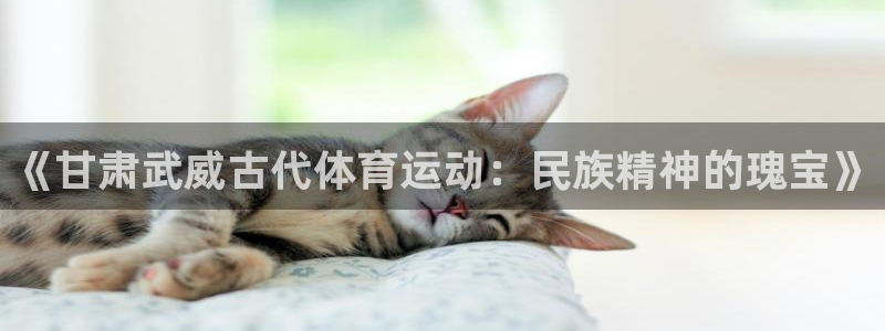 678体育app：《甘肃武威古代体育运动：民族精神的瑰宝》