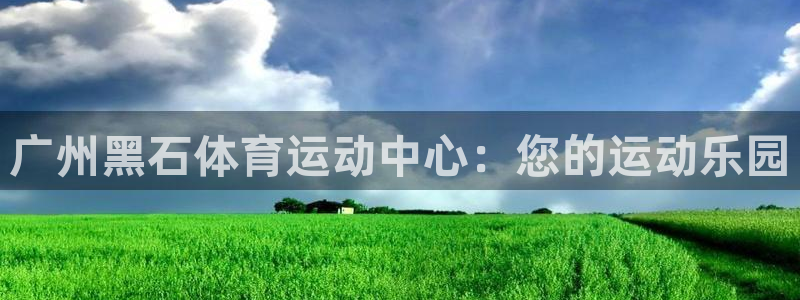 678体育官网：广州黑石体育运动中心：您的运动乐园