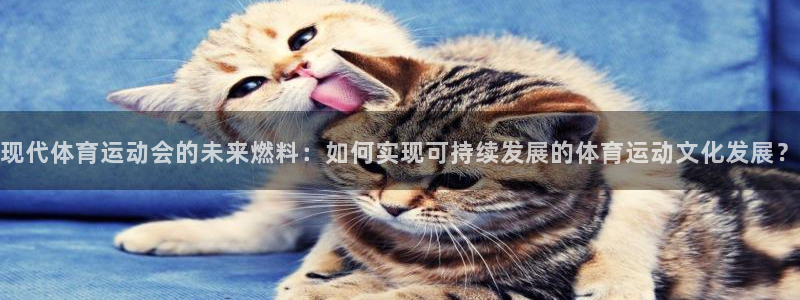 678体育app：现代体育运动会的未来燃料：如何实现可持续发展的体育运动文化发展？