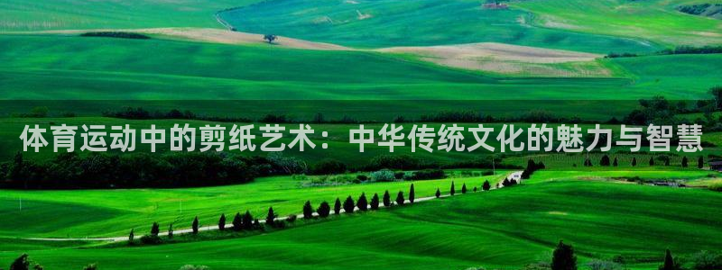 678体育官网下载：体育运动中的剪纸艺术：中华传统文化的魅力与智慧