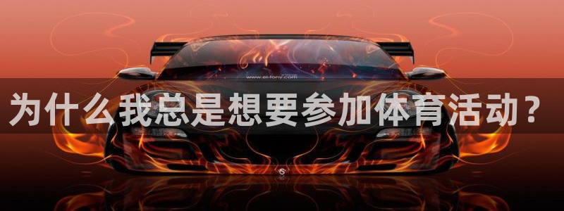 678体育app