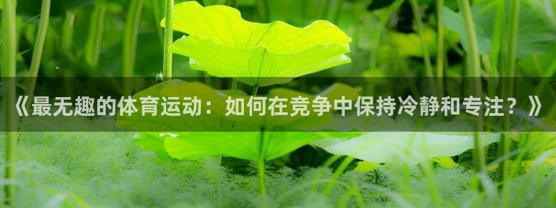 678体育官网地址：《最无趣的体育运动：如何在竞争中保持冷静和专注？》