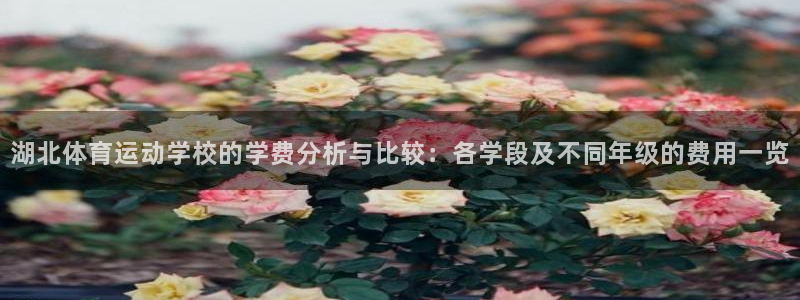 678体育官网：湖北体育运动学校的学费分析与比较：各学段及不同年级的费用一览