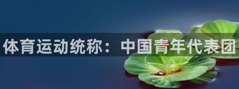 678体育知识：体育运动统称：中国青年代表团