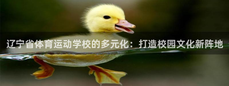 678体育：辽宁省体育运动学校的多元化：打造校园文化新阵地